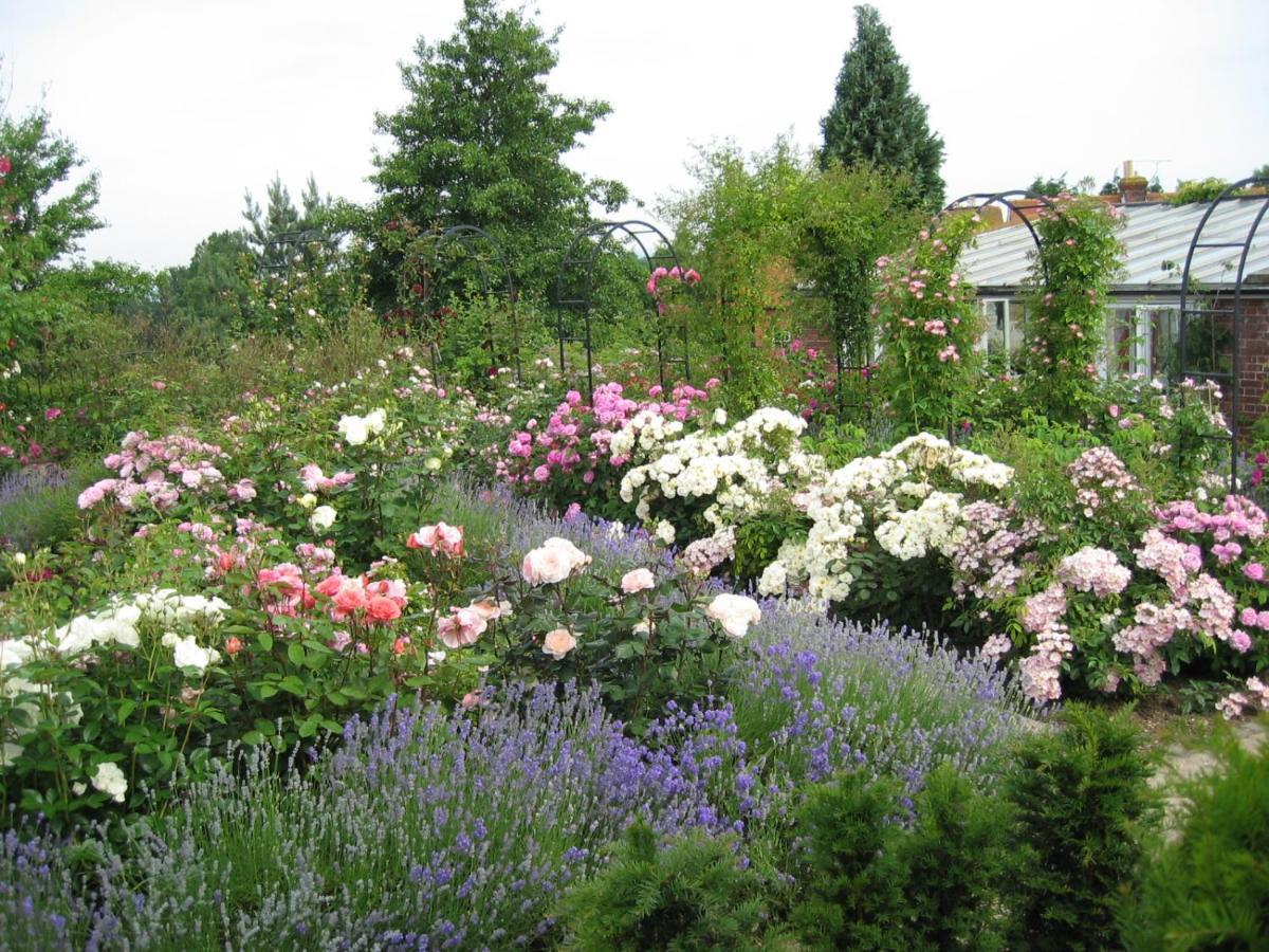 Mount Ephraim B&B Hernhill Eksteriør bilde